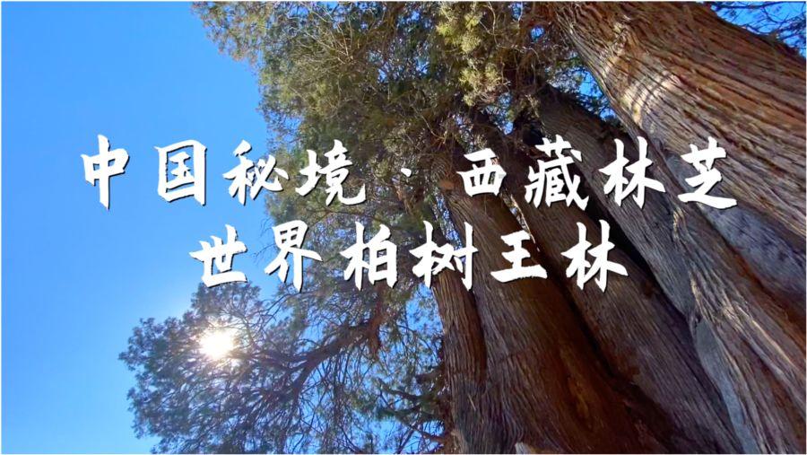 多地启动精细化预案 确保雨雪寒潮天气市民“菜篮子”供应量足价稳