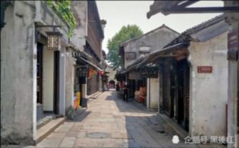 银河中动物逃生